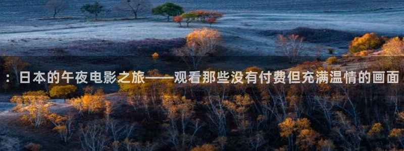 的星空