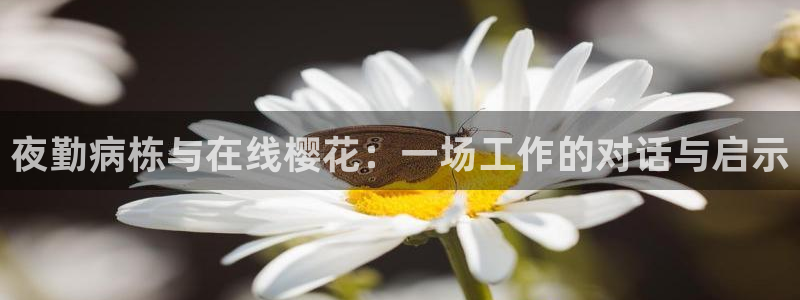 星空传媒免费播放