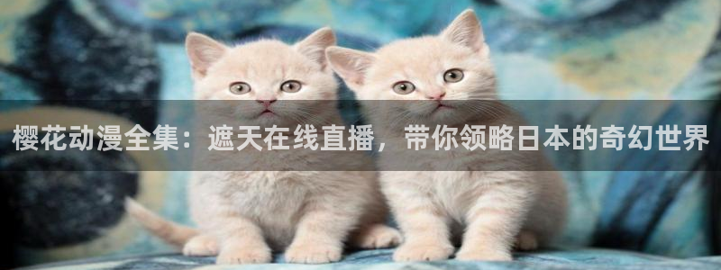 星空影视下载软件