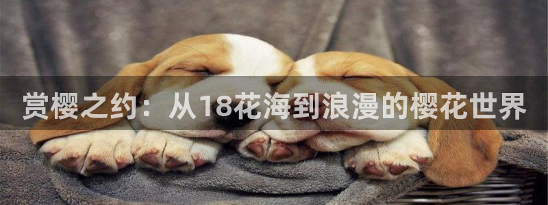 西瓜视频在线免费看