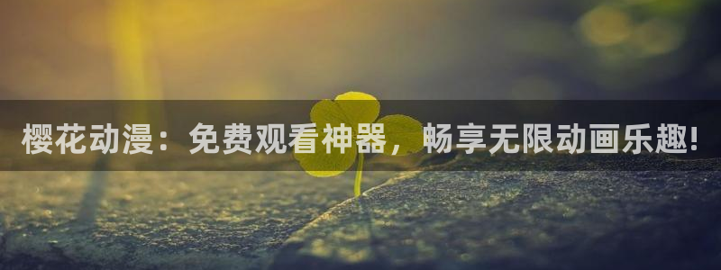 西瓜视频大全免费观看
