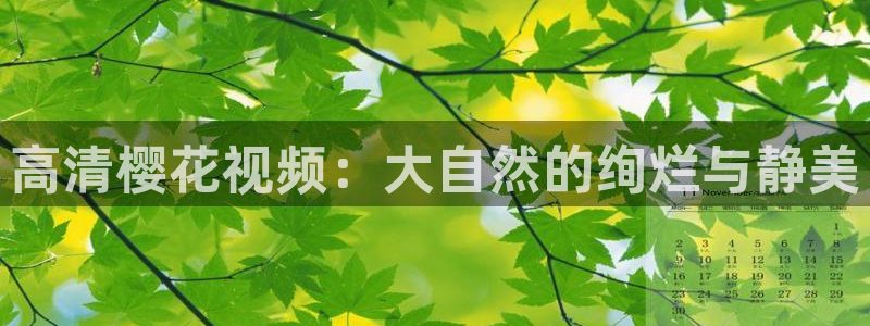 西瓜视频在线观看播放免费高清视频