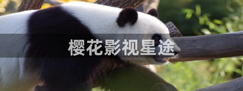 西瓜视频电影电视剧免费播放手机版