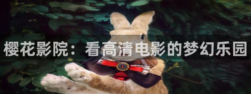 星空电影在线观看影院