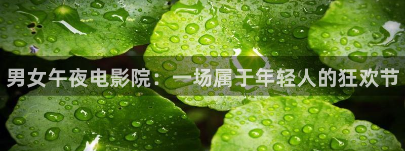 星空电影免费观看高清