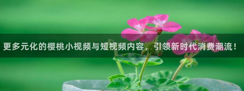 西瓜视频下载