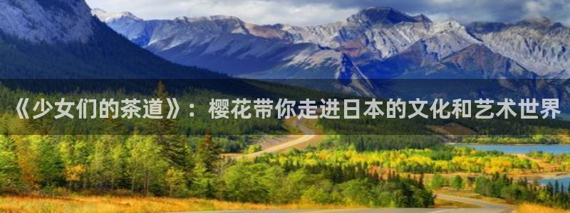 星空影视在线观看全集免费高清