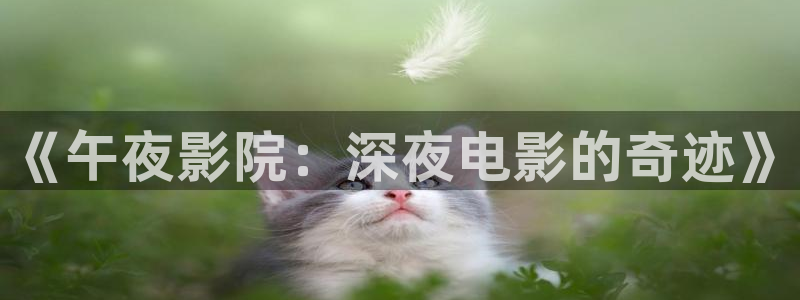 西瓜视频2
