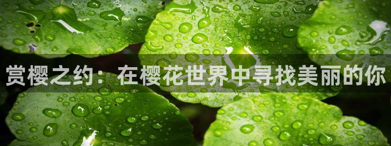 星空无限传媒免费观看高清