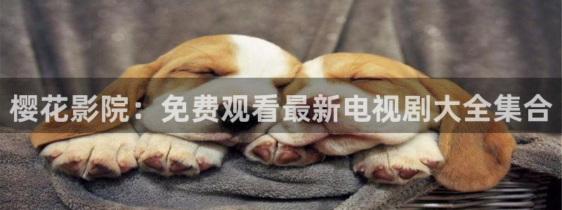 手机星空影视