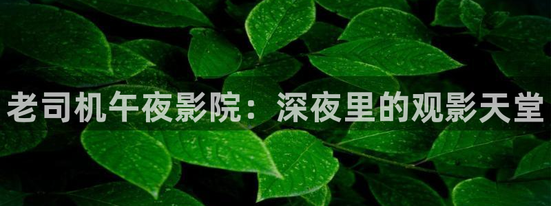 刘老根5免费看全40集西瓜视频