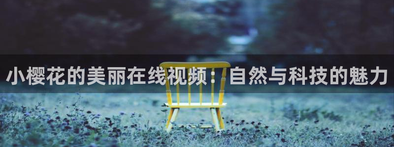 星空影视免费电影