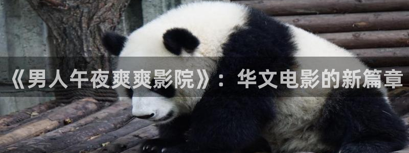 西瓜视频在线观看免费观看电视剧最新