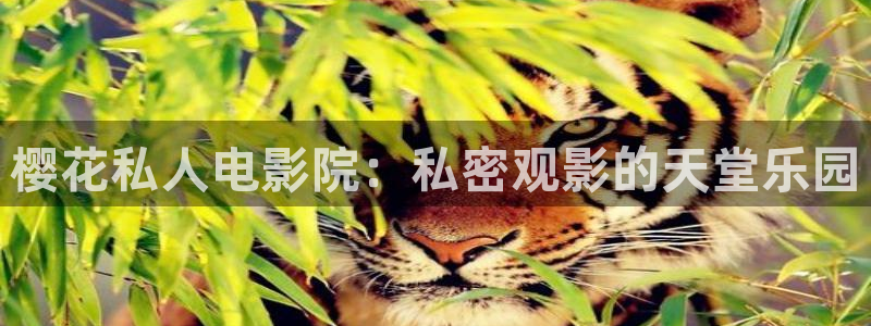 西瓜视频在线电影