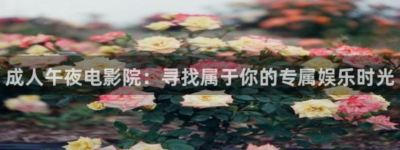 西瓜视频在线电视剧免费看
