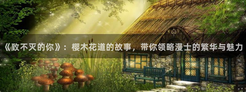 西瓜视频电视剧免费看入口