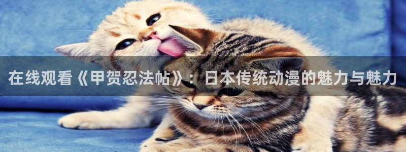 星空视频在线观看完整免费