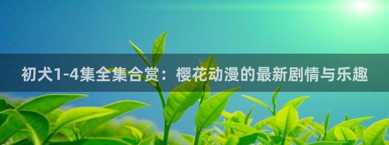 星空电影大全免费高清观看