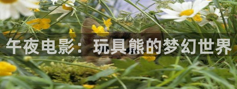 西瓜视频官网