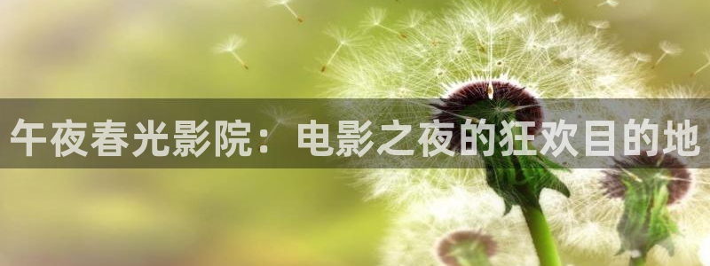 星空下的誓言电影