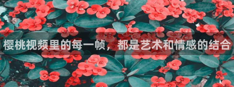 西瓜视频影视大全免费观看