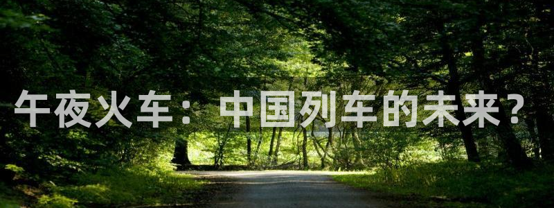 梵高的星空的电影