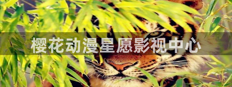 星空电影在线观看