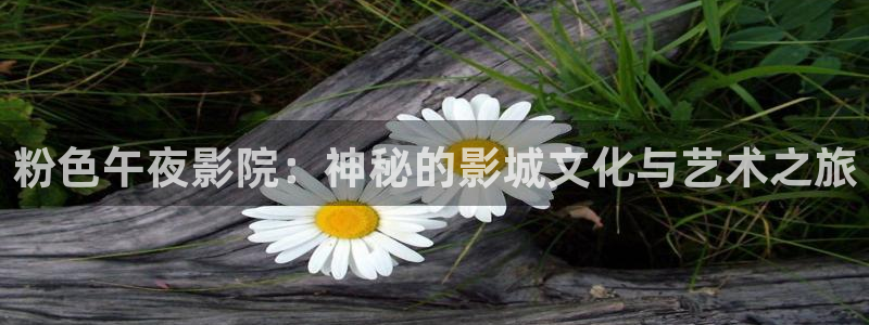 星空视频播放器
