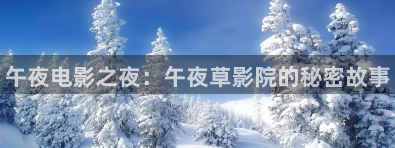 星空视频免费观看电影大全
