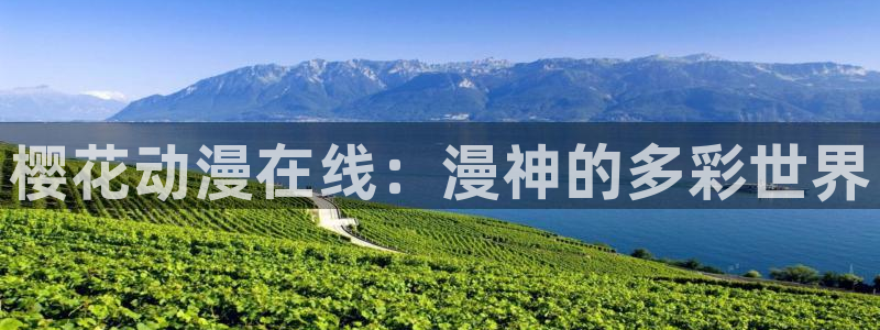 星空国际影城