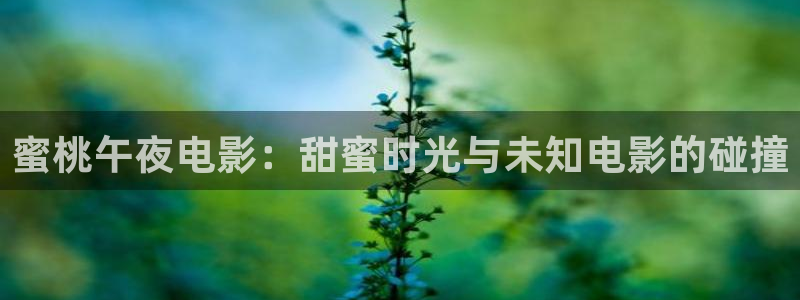 西瓜视频电影在线免费观看