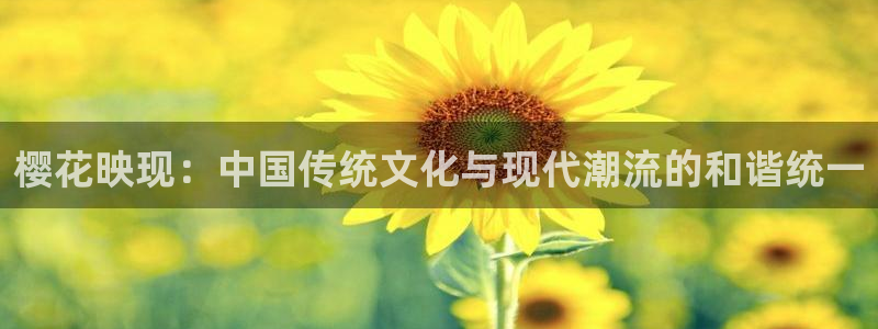 西瓜视频在线免费观看高清版