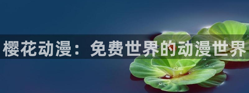韩国西瓜视频