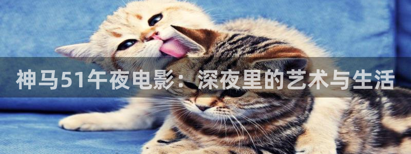 星空影视在线观