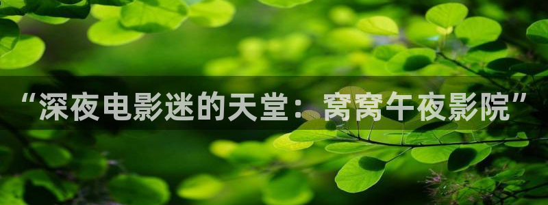 深圳市星空影视有限公司