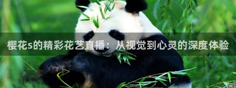 星空在线观看免费高清电视