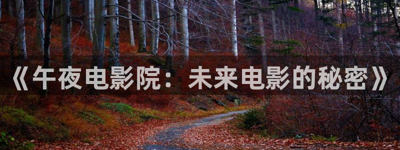 夏至未至电视剧免费观看完整版西瓜视频
