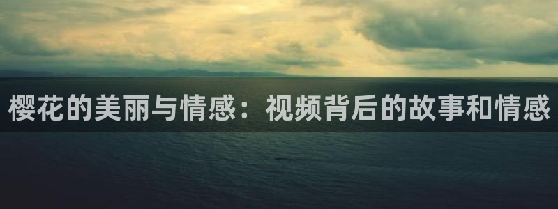 西瓜视频在线观看免费观看电视剧最新