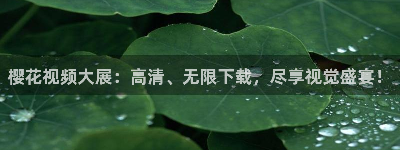 西瓜视频福利