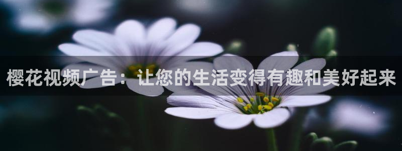 星空动漫网站在线观看