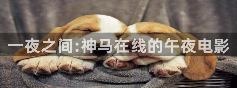 西瓜视频免费观看电影伦理片